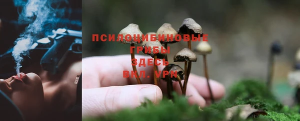первитин Верхний Тагил