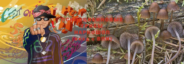 первитин Верхний Тагил