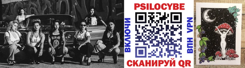 как найти закладки  Кедровый  кракен рабочий сайт  Галлюциногенные грибы Cubensis 